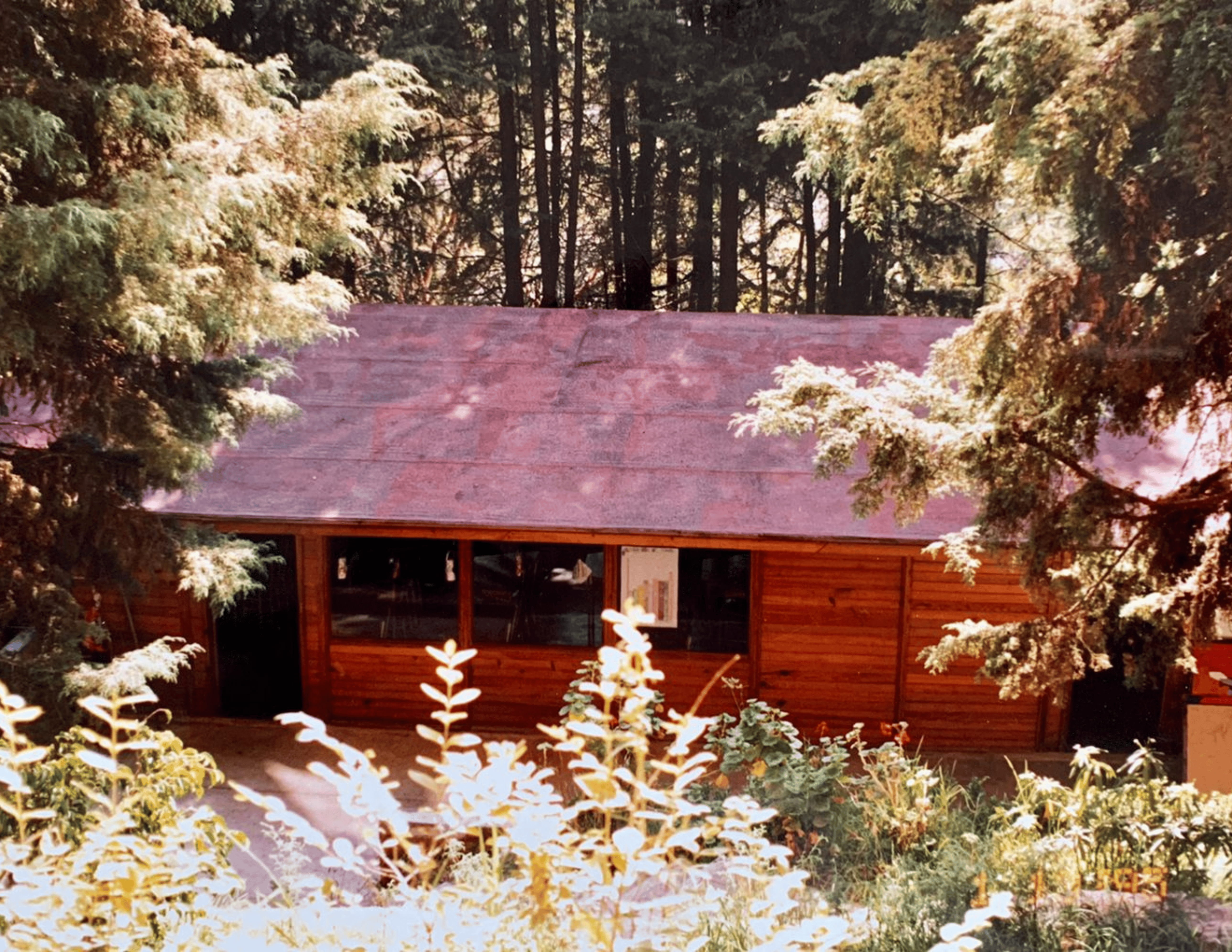 Primera generación del Colegio Bilbao